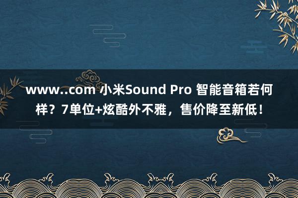 www..com 小米Sound Pro 智能音箱若何样？7单位+炫酷外不雅，售价降至新低！