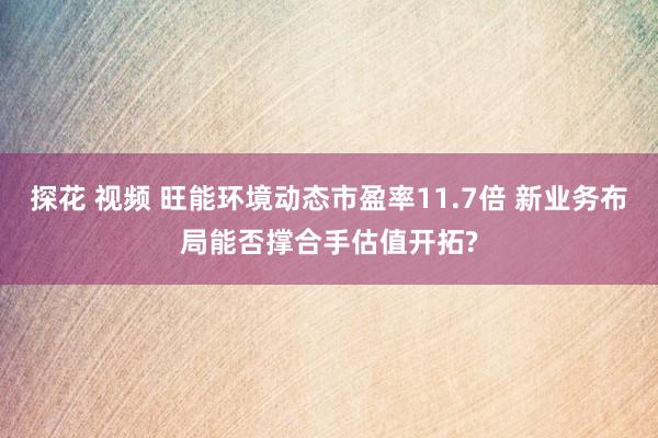 探花 视频 旺能环境动态市盈率11.7倍 新业务布局能否撑合手估值开拓?
