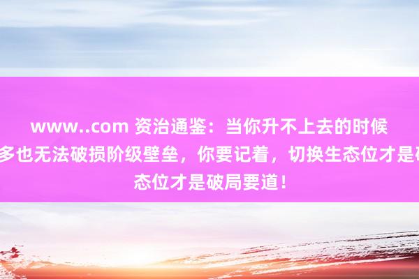 www..com 资治通鉴：当你升不上去的时候，勤勉再多也无法破损阶级壁垒，你要记着，切换生态位才是破局要道！