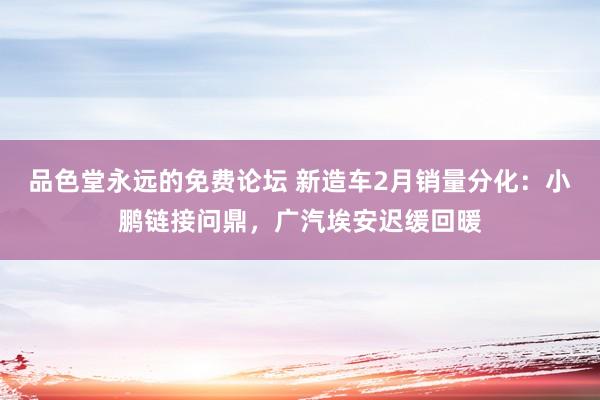 品色堂永远的免费论坛 新造车2月销量分化：小鹏链接问鼎，广汽埃安迟缓回暖