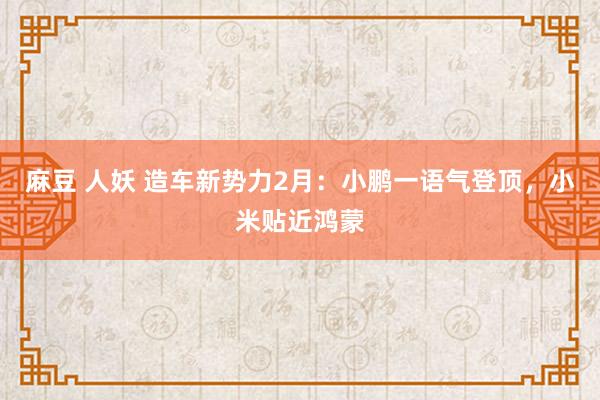 麻豆 人妖 造车新势力2月：小鹏一语气登顶，小米贴近鸿蒙